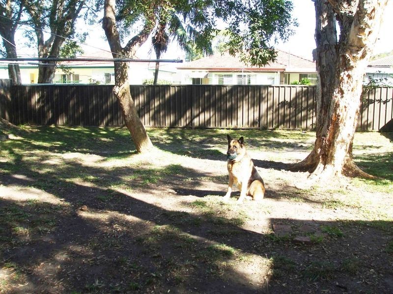 56 Wyong Road, Killarney Vale NSW 2261