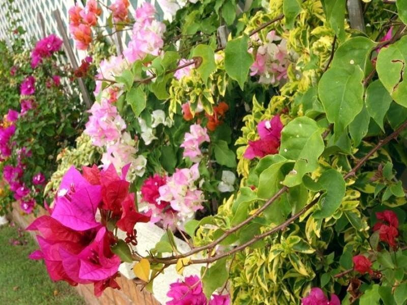 8 Leilani Close, Casino NSW 2470