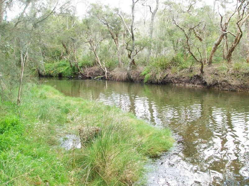 10 The Peninsula, Killarney Vale NSW 2261