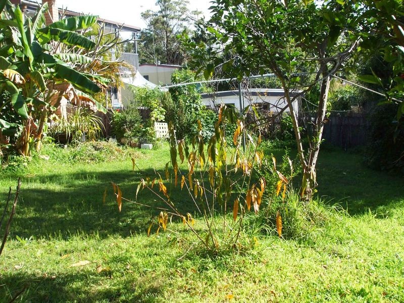 39 Hillside Drive, Berkeley Vale NSW 2261