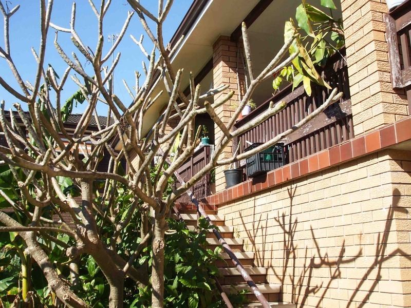 39 Hillside Drive, Berkeley Vale NSW 2261