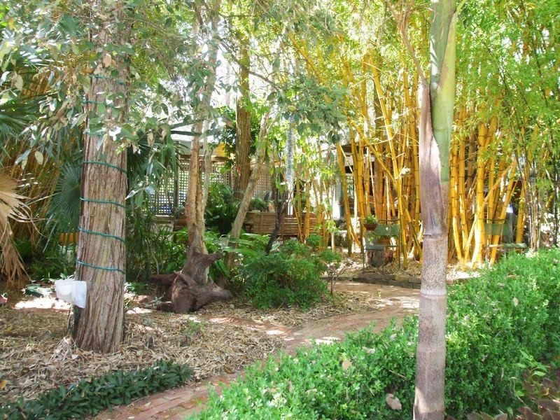 211 Tumbi Road, Tumbi Umbi NSW 2261