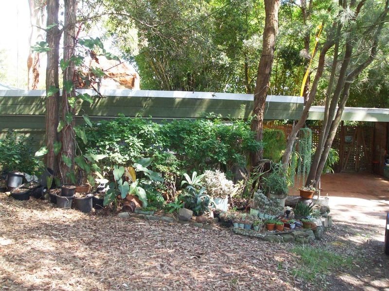 211 Tumbi Road, Tumbi Umbi NSW 2261