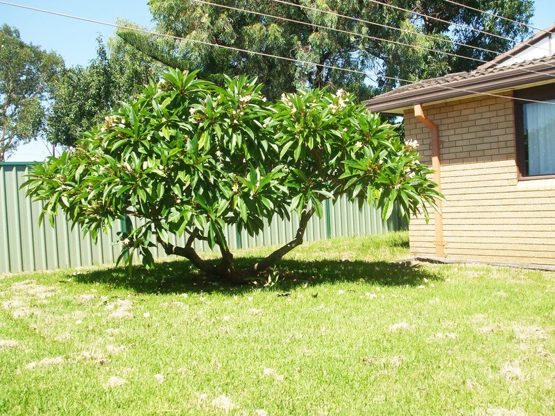 38 Tasman Avenue, Killarney Vale NSW 2261