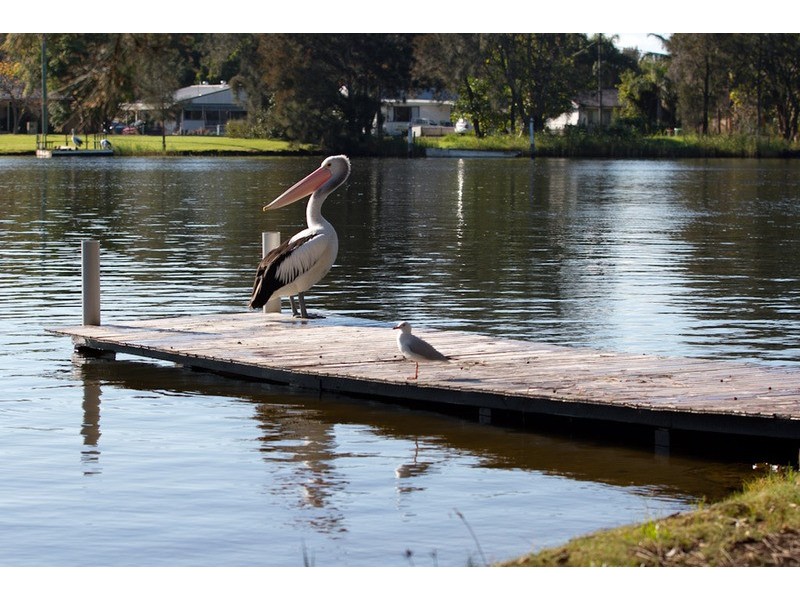 27 South Tacoma Road, Tacoma South NSW 2259