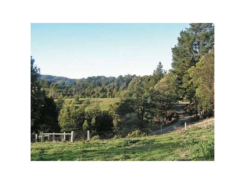 555 Wonga Squaretop Road, Foster VIC 3960