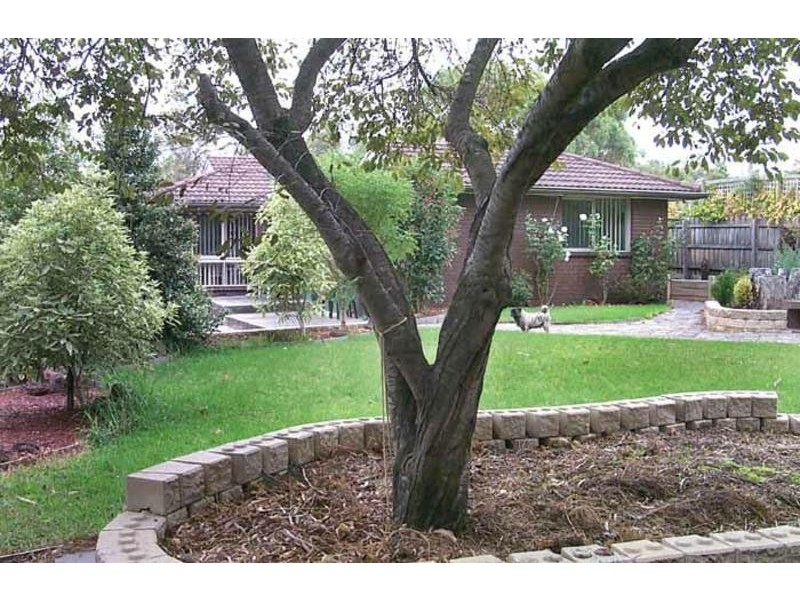 Blind Bight VIC 3980