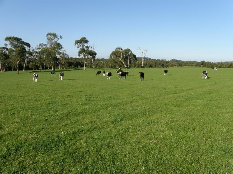 Nyora VIC 3987