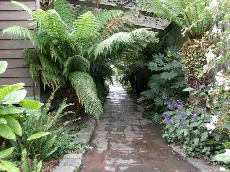 Blind Bight VIC 3980