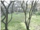 Cannons Creek VIC 3977