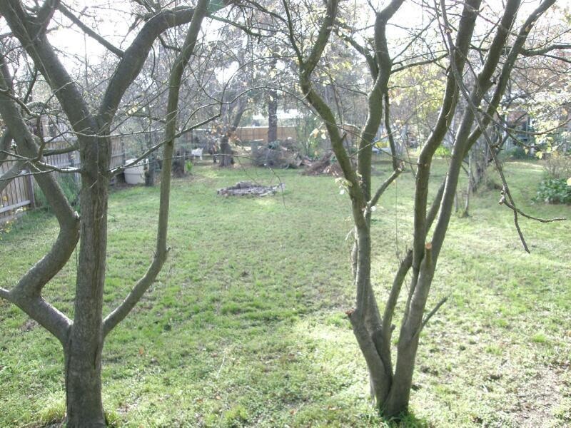 Cannons Creek VIC 3977