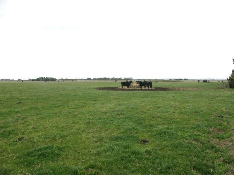 Koo Wee Rup VIC 3981