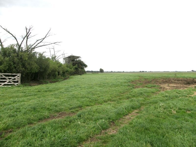 Koo Wee Rup VIC 3981