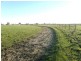 145 Craigs Lane, Pearcedale VIC 3912