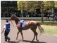 Tooradin VIC 3980