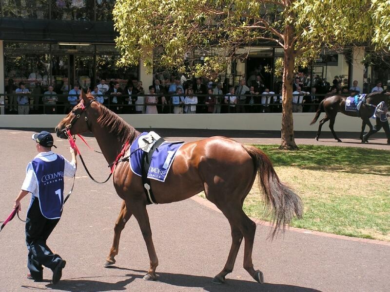 Tooradin VIC 3980