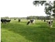Athlone VIC 3818