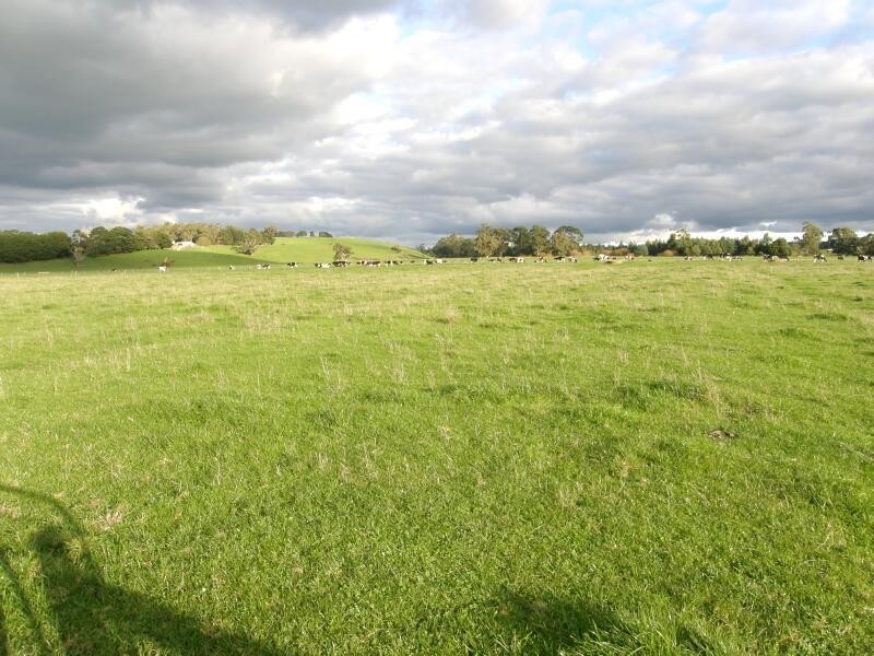 Athlone VIC 3818
