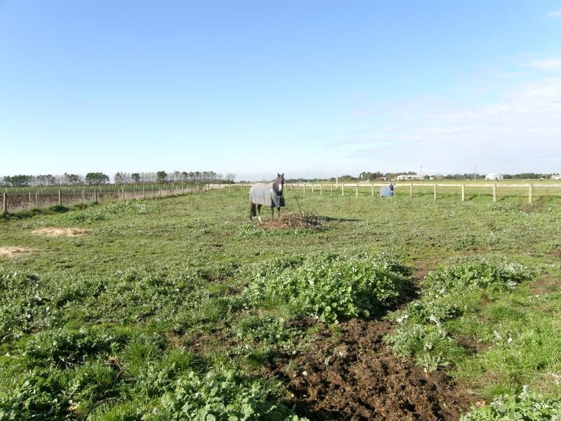 Devon Meadows VIC 3977