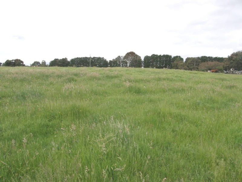 Tooradin VIC 3980
