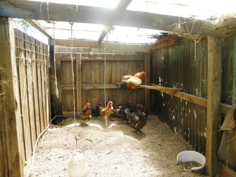 Koo Wee Rup VIC 3981