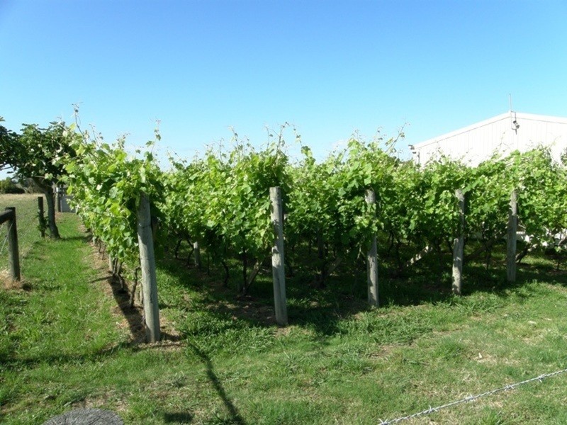 Corinella VIC 3984