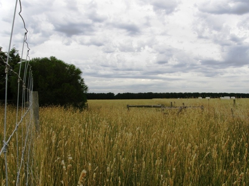 Tooradin VIC 3980