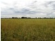 Tooradin VIC 3980