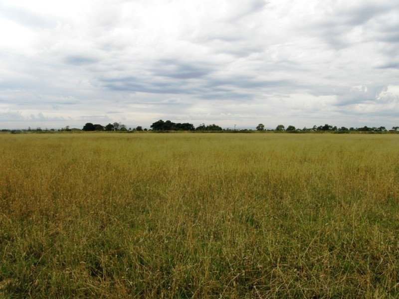 Tooradin VIC 3980