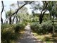 Cannons Creek VIC 3977