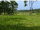 Sancrox NSW 2446