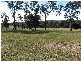 Sancrox NSW 2446