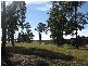 Sancrox NSW 2446