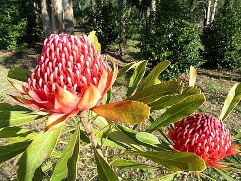 562 The River Road, Nelligen NSW 2536