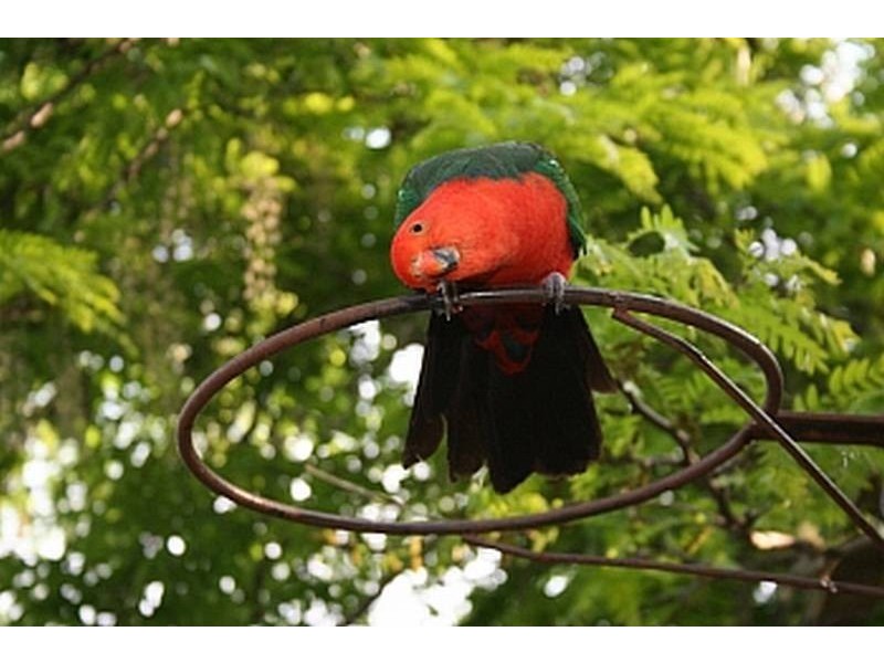 562 The River Road, Nelligen NSW 2536