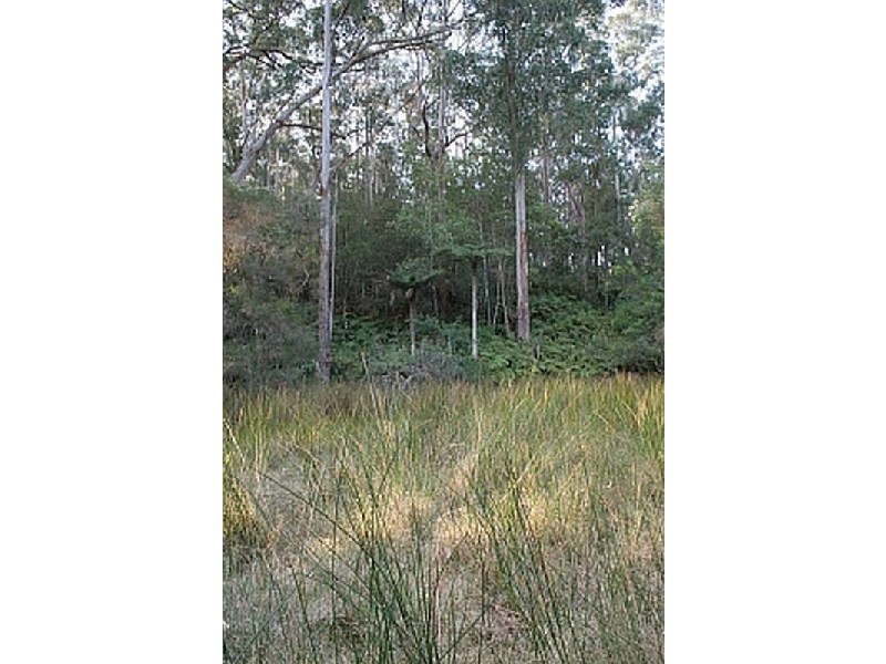 562 The River Road, Nelligen NSW 2536