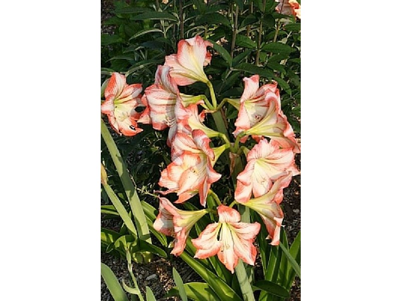 562 The River Road, Nelligen NSW 2536