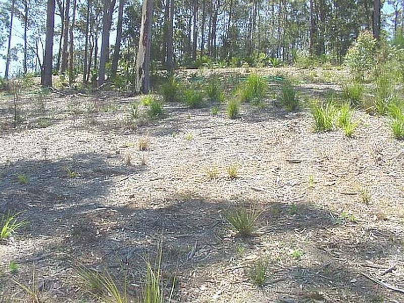 Lot 65 Litchfield Crescent, Long Beach NSW 2536