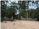 30 Old Mossy Point Road, Jeremadra NSW 2536