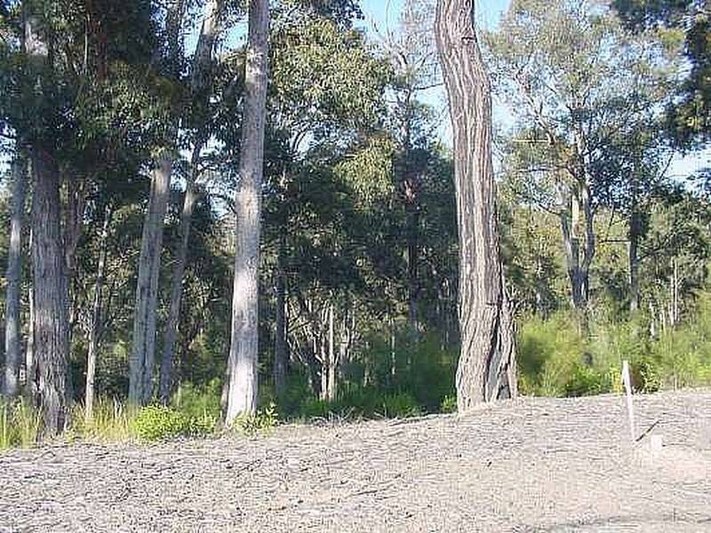 26 Bunderra Circuit, Lilli Pilli NSW 2536