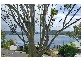 443 Orange Grove Road, Blackwall NSW 2256