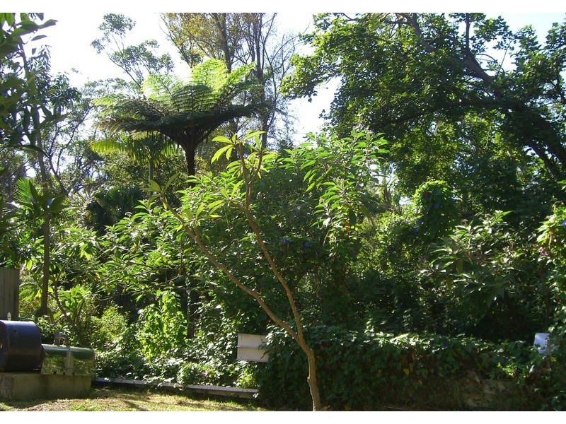 88 Mount Ettalong Road, Umina Beach NSW 2257