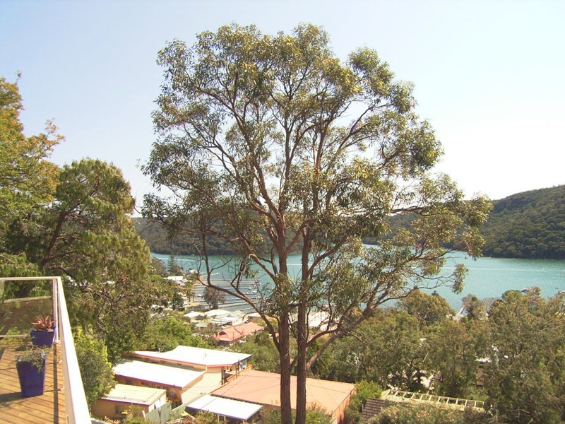 36 Woy Woy Bay Road, Woy Woy Bay NSW 2256