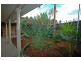 24 Attunga Close, St Huberts Island NSW 2257