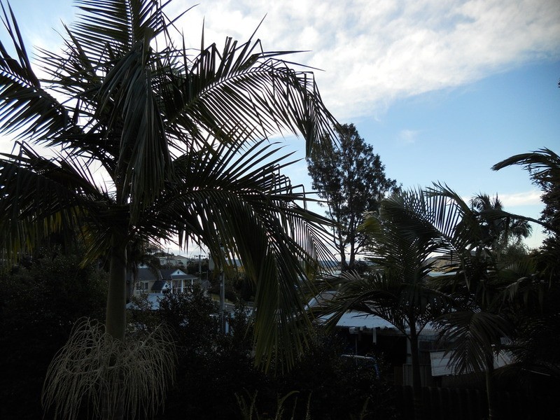 2A Koonora Avenue, Blackwall NSW 2256