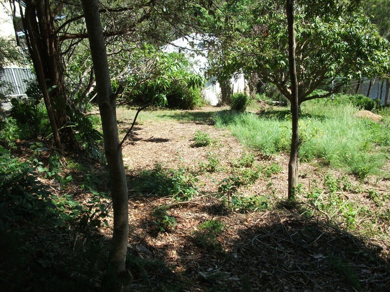 38 Horsefield Road, Horsfield Bay NSW 2256