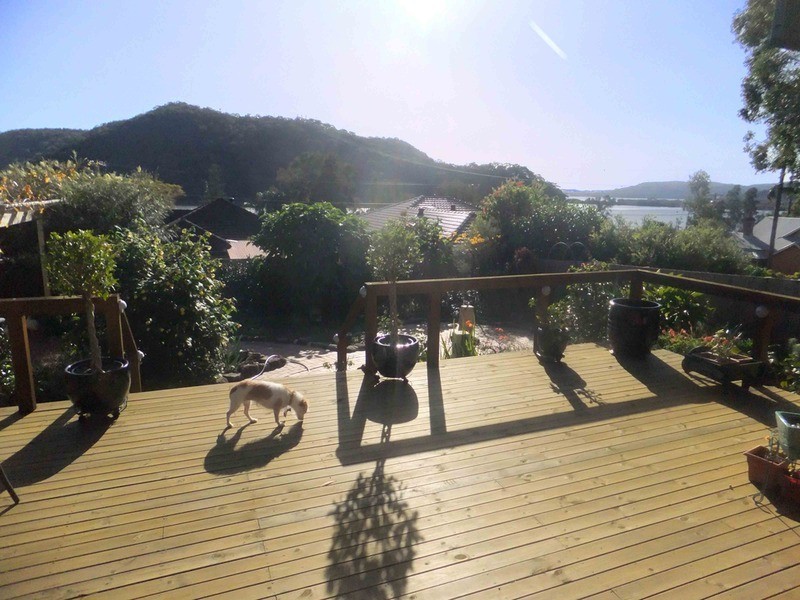 15 Woy Woy Bay Road, Woy Woy Bay NSW 2256