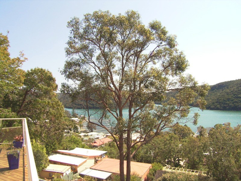 36 Woy Woy Bay Road, Woy Woy Bay NSW 2256