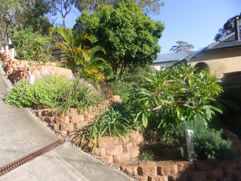 15 Woy Woy Bay Road, Woy Woy Bay NSW 2256