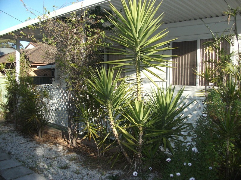64 Birdwood Avenue, Umina Beach NSW 2257